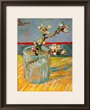 Blossoming Almond Branch in a Glass  c1888