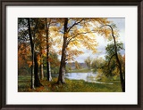 A Quiet Lake