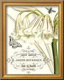 Jardin Botanique I