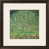 Apple Tree  1912