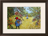 The Apple Harvest