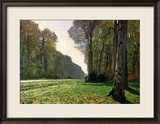 The Road to Bas-Breau  Fontainebleau  circa 1865