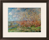 Spring  1880-82