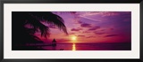 Sunset  Palm Trees  Beach  Water  Ocean  Montego Bay Jamaica