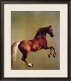 Whistlejacket  1762