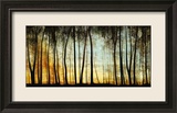 Golden Forest