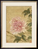 Peony