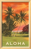 Aloha: Palm Trees