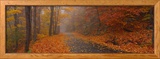 Autumn Road  Monadnock Mountain  New Hampshire  USA