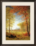 Autumn in America  Oneida County  New York