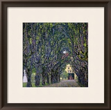 Tree-Lined Road Leading to the Manor House at Kammer  Upper Austria  1912