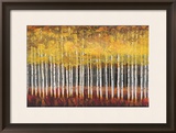 Golden Aspens