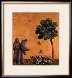 St Francis of Assisi Preaching to the Birds