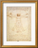 Vitruvian Man  c1492