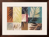 Palm Sections