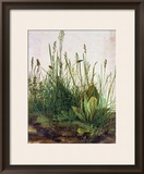 Large Piece of Turf  1503