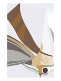 Abstract Moth