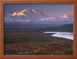 Denali National Park near Wonder Lake  Alaska  USA
