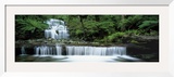 Liffey Falls  Tasmania  Australia