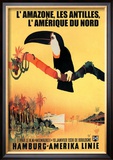 The Amazon  Antilles  and North America: Hamburg-Amerika Cruise Line