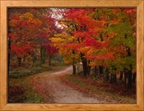 Country Road in the Fall  Vermont  USA