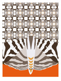 Swooping Puma on Orange