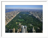 Aerial View of Central Park  NYC