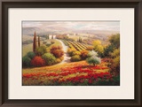 Vineyard View I