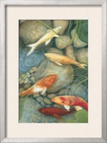 Reflecting Koi I