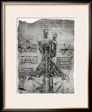 Bone Structure of the Human Neck and Shoulder  Facsimile Copy