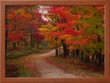 Country Road in the Fall  Vermont  USA