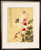 Corn Poppy and Butterflies  1702