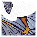 Iris Moth Design