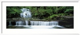 Liffey Falls  Tasmania  Australia