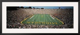 University of Michigan Stadium  Ann Arbor  Michigan  USA