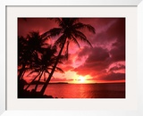 Palms And Sunset at Tumon Bay  Guam