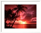 Palms And Sunset at Tumon Bay  Guam