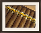 Close-Up of Limited Edition Cigars in a Box  Cohiba  Havana  Cuba  West Indies  Central America
