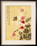 Corn Poppy and Butterflies  1702