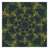 Skydiving Moths