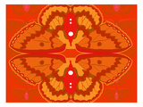 Zuca Vimana