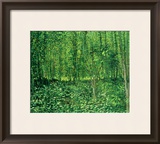 Woods and Undergrowth  c1887