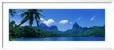 Lush Foliage and Rock Formations  Moorea Island  Tahiti