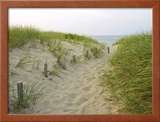 Path at Head of the Meadow Beach  Cape Cod National Seashore  Massachusetts  USA