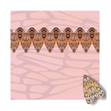 Pink Pacha in Line