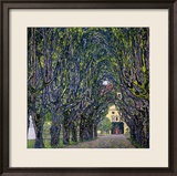 Tree-Lined Road Leading to the Manor House at Kammer  Upper Austria  1912