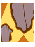 Moth Zoom