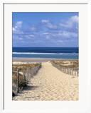Cape Ferret  Basin d'Arcachon  Gironde  Aquitaine  France