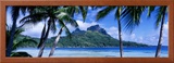 Bora Bora  Tahiti  Polynesia