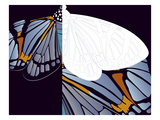 Metamorphosis of Iris
